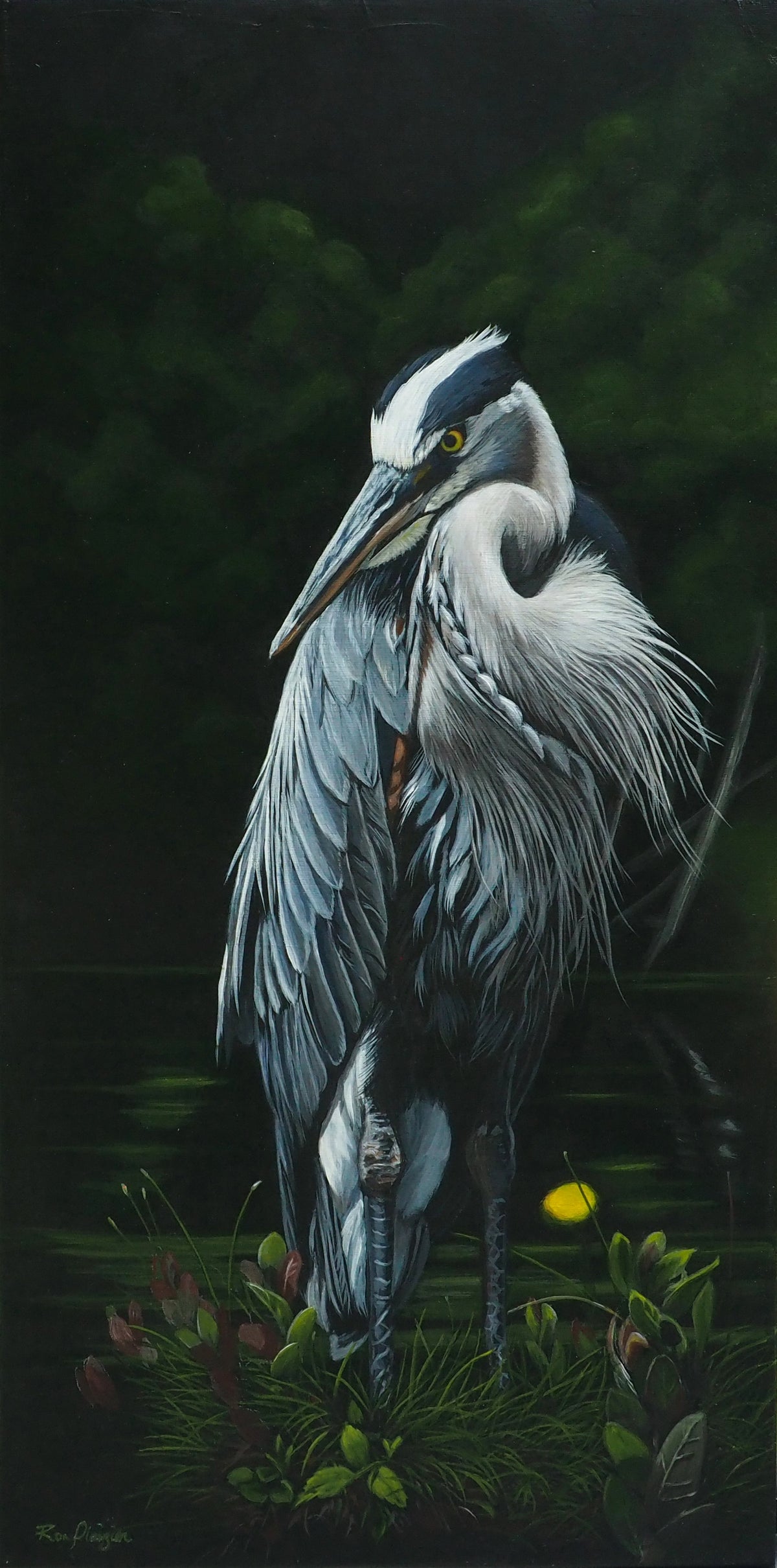 Stillwater Gaze - 24"x12" Original Framed