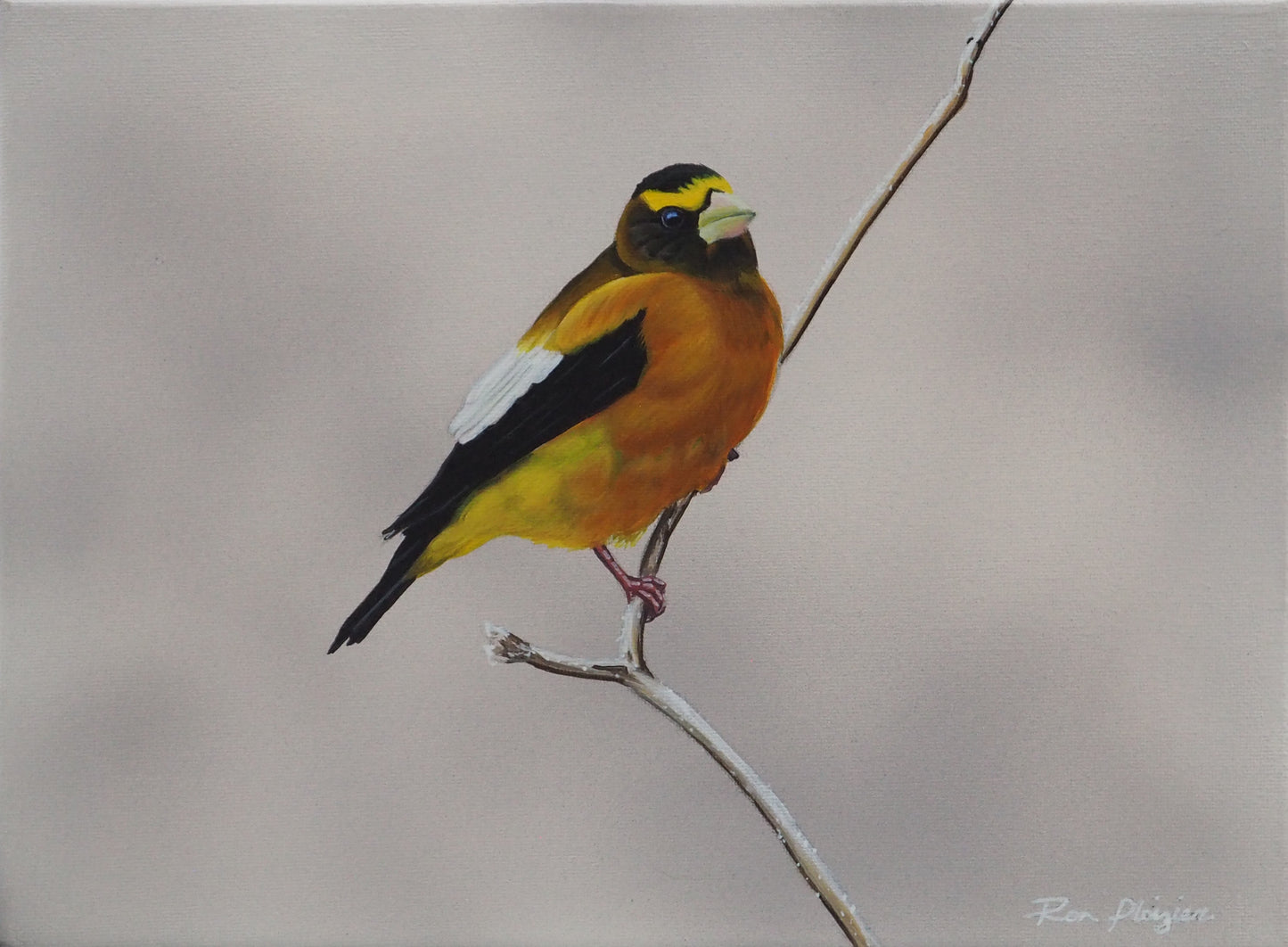 Winter's Glow - 9"x12" Original Framed