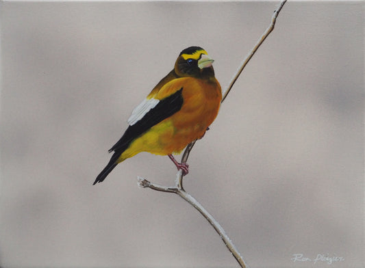 Winter's Glow - 9"x12" Original Framed