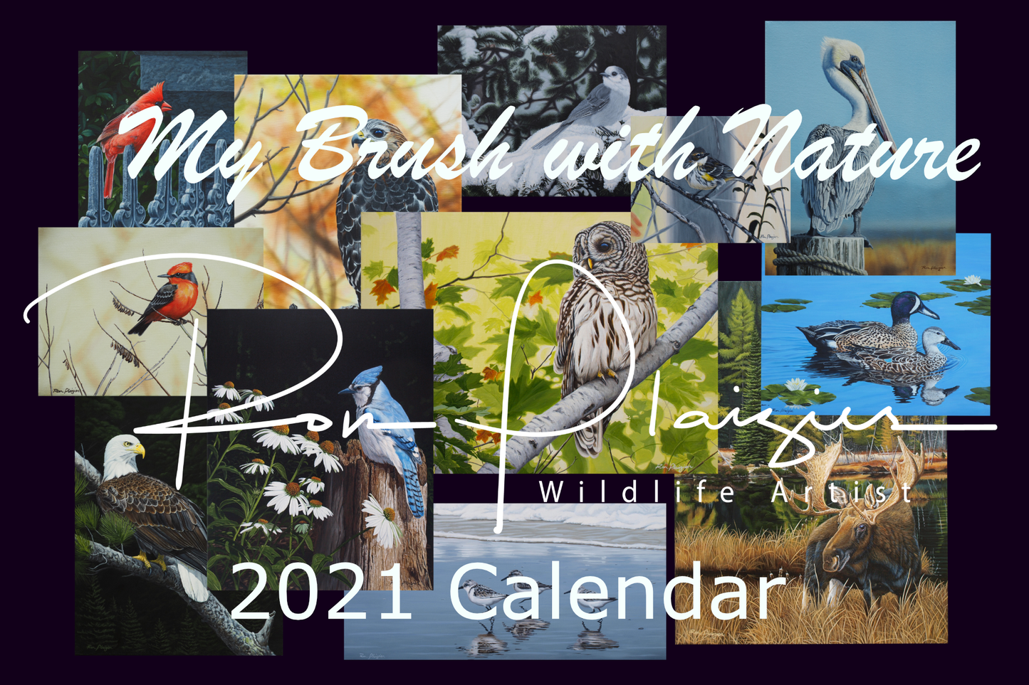 2021 Wildlife Art Calendar