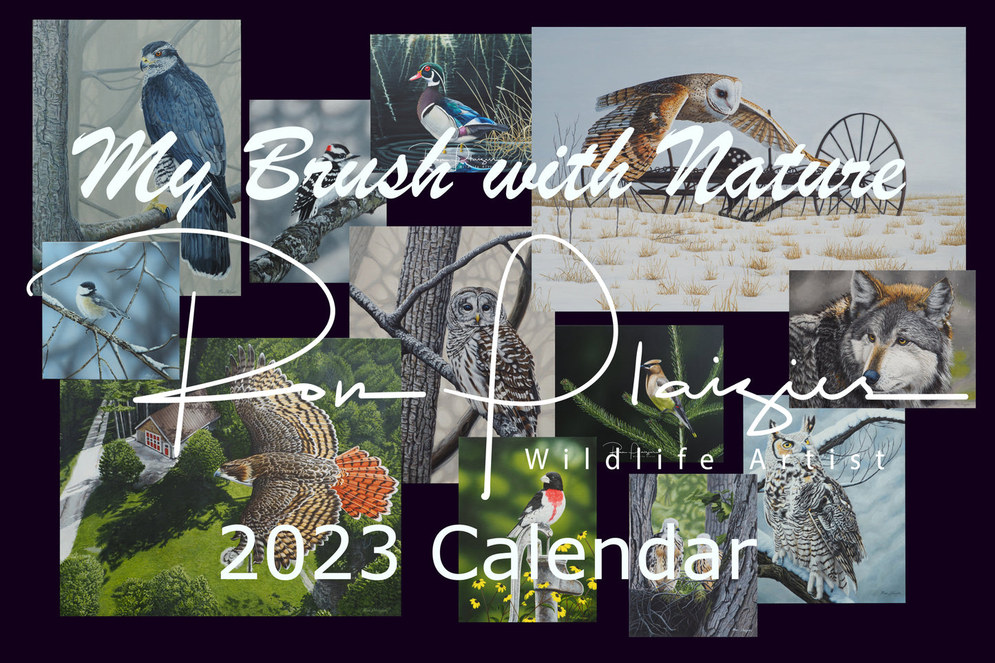 2023 Wildlife Art Calendar