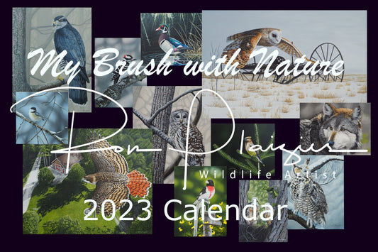 2023 Wildlife Art Calendar