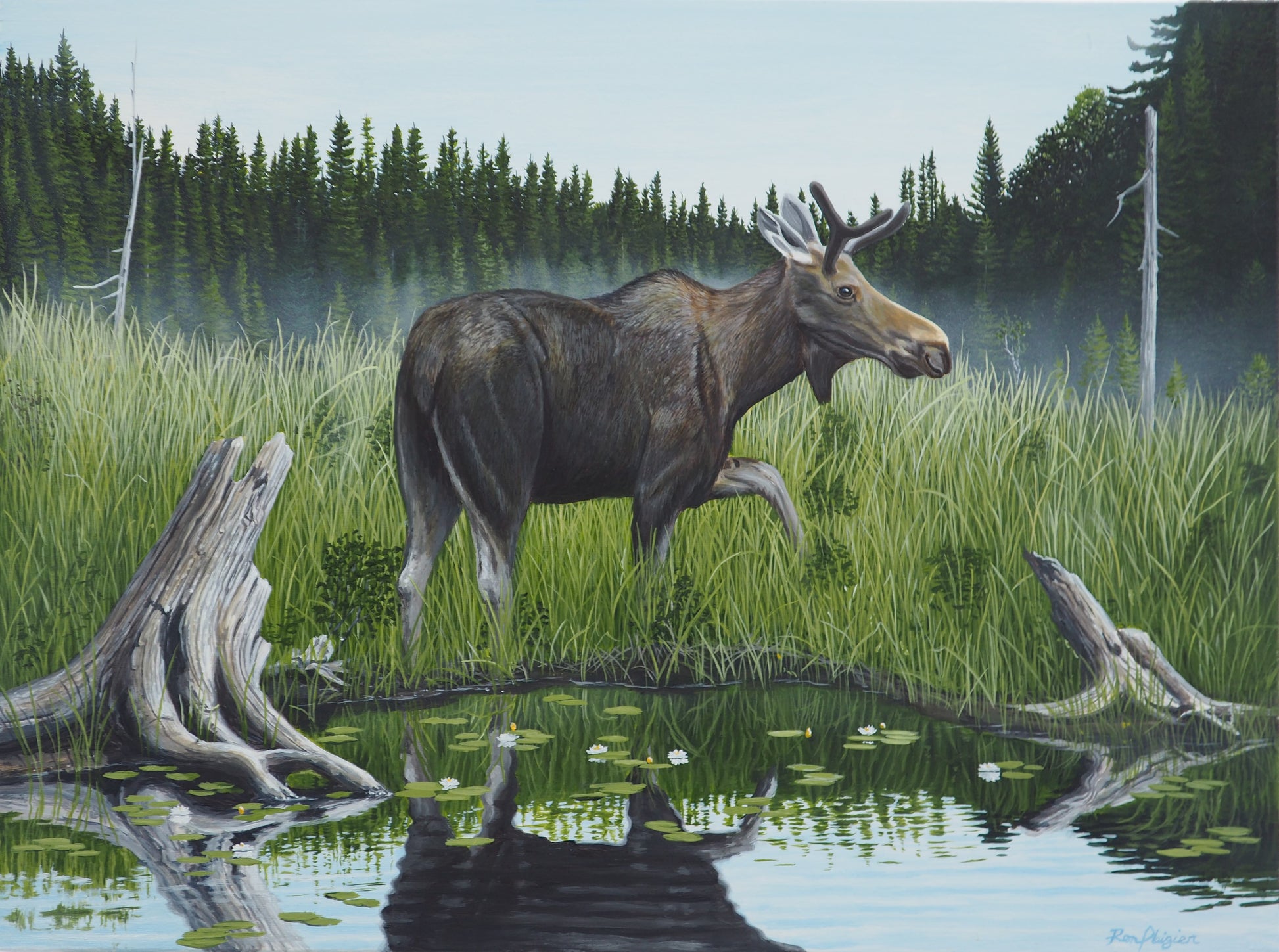 The Yearling - 18"x24"- Original Framed image 0