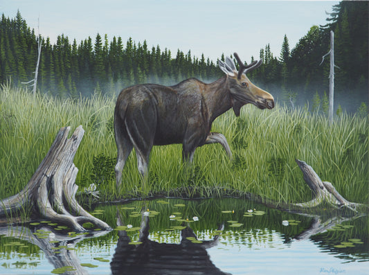 The Yearling - 18"x24"- Original Framed image 0