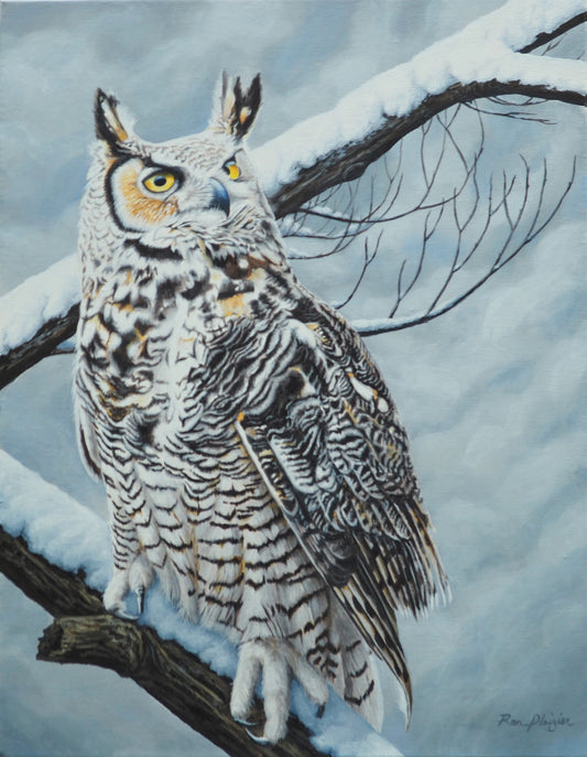 Vigilant - Horned Owl - 18" x 14" Original Framed image 0