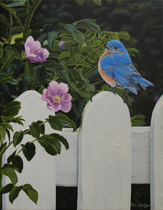 Garden Secret - 14"x11" -Sold- image 0