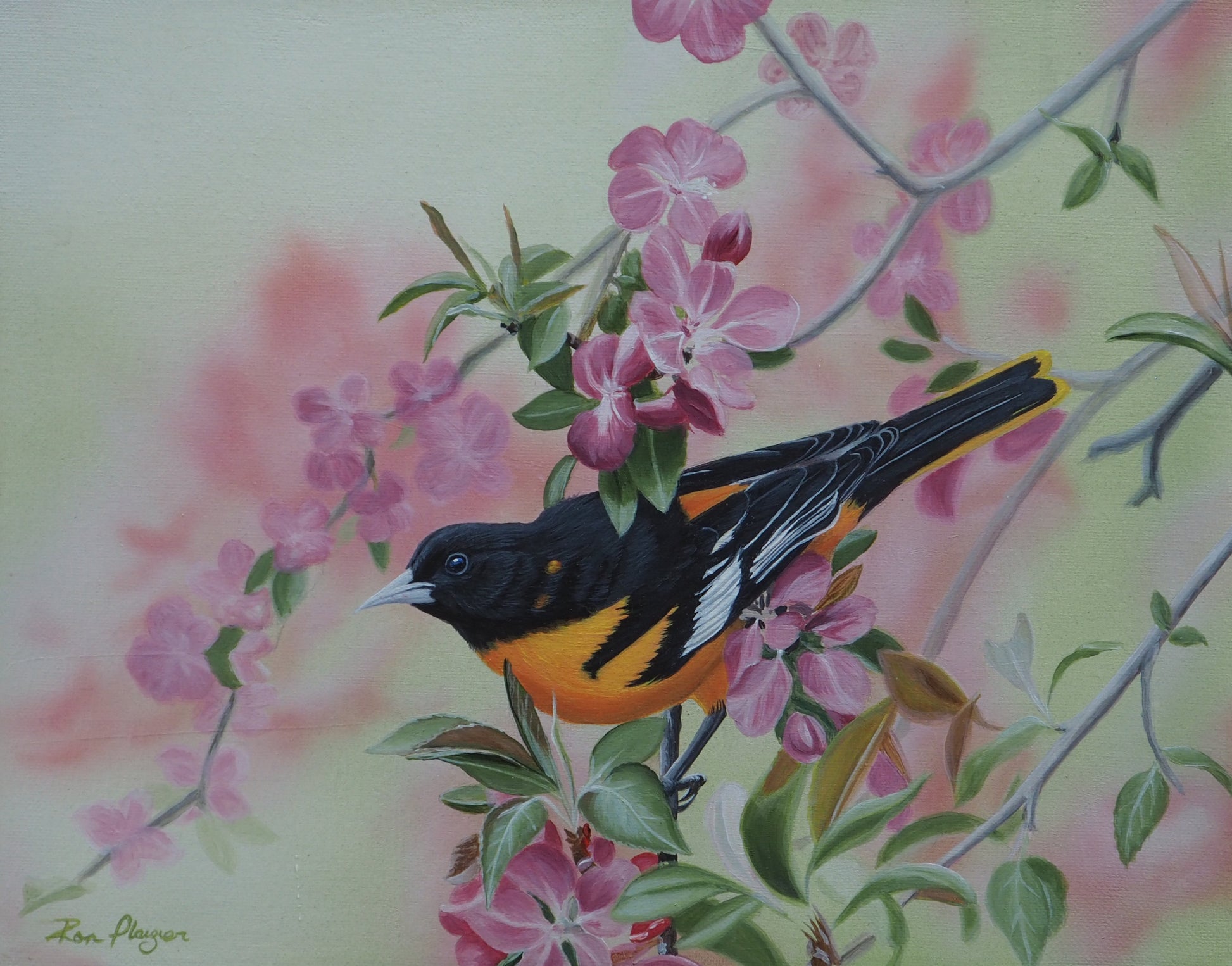 Spring Serenade - 11"x14" Original Framed image 0