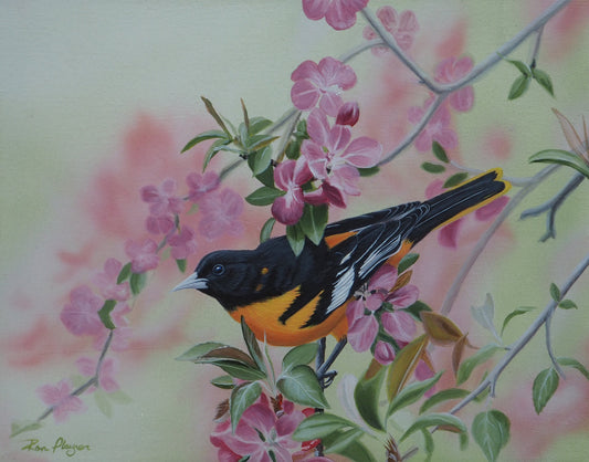 Spring Serenade - 11"x14" Original Framed image 0