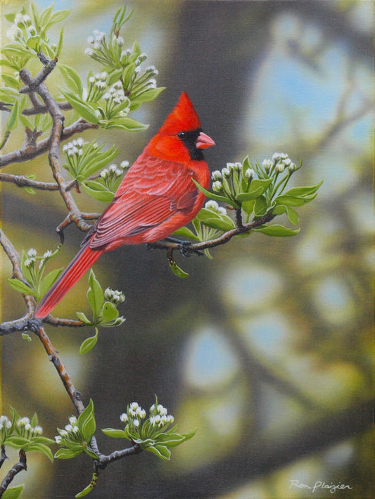 Spring's Promise - 12"x16" - SOLD - image 0