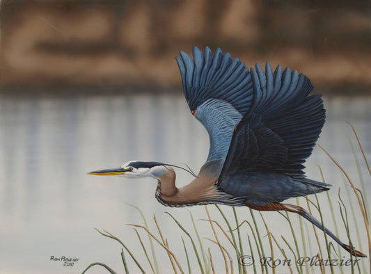 Blue Heron 18"x24" - Sold - image 0