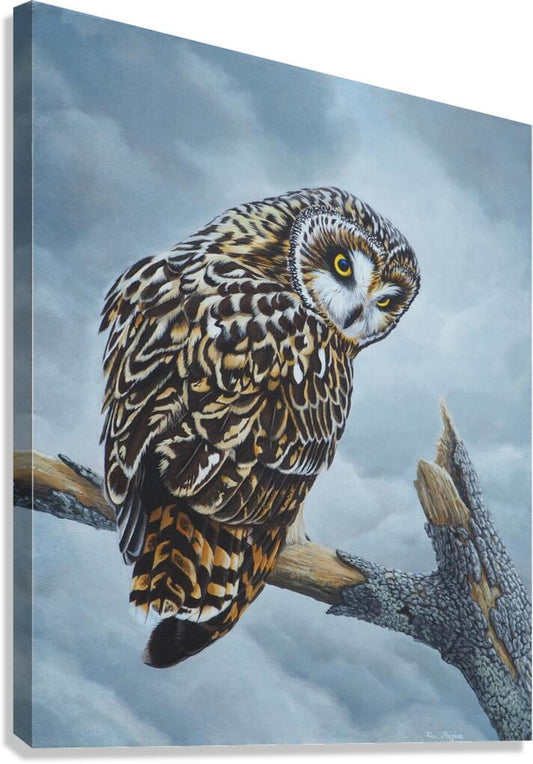 2334260 :: Giclée Stretched Canvas Print