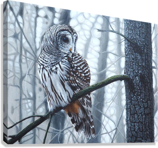 2334261 :: Giclée Stretched Canvas Print