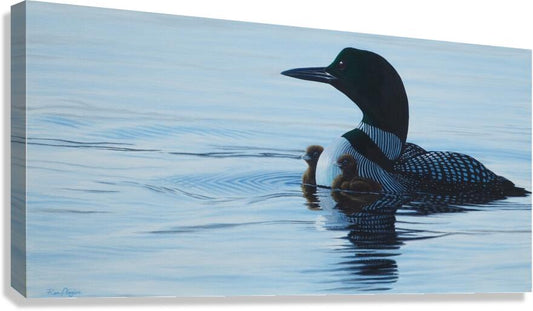 2334262 :: Giclée Stretched Canvas Print