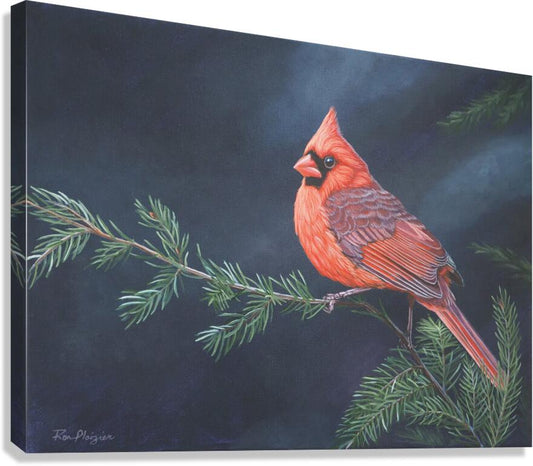 2334265 :: Giclée Stretched Canvas Print
