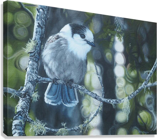 2455484 :: Giclée Stretched Canvas Print