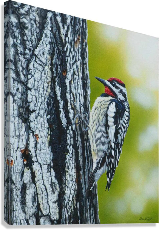 2455502 :: Giclée Stretched Canvas Print