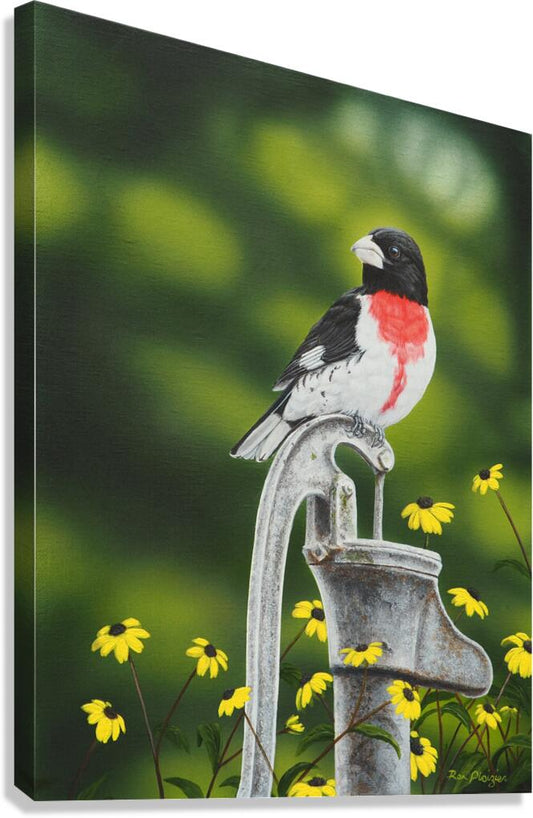 2455503 :: Giclée Stretched Canvas Print