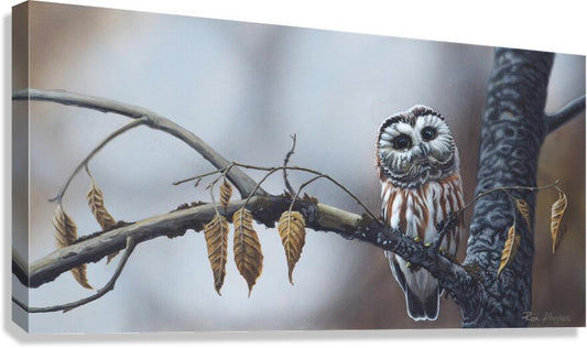 2455504 :: Giclée Stretched Canvas Print