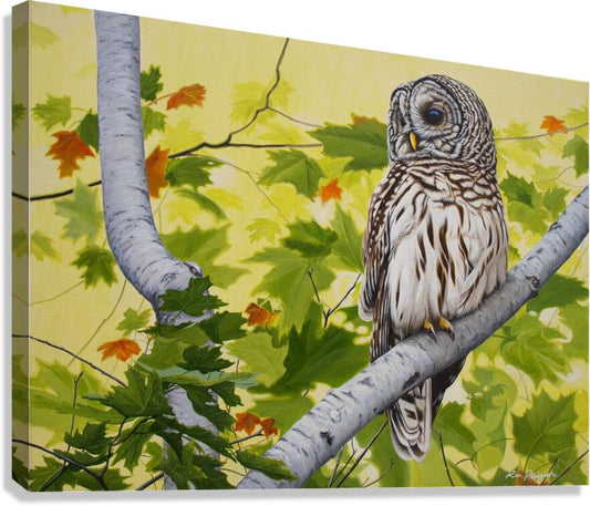2455505 :: Giclée Stretched Canvas Print