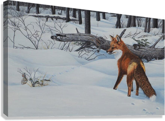 2455507 :: Giclée Stretched Canvas Print