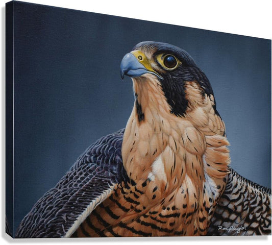 2455508 :: Giclée Stretched Canvas Print