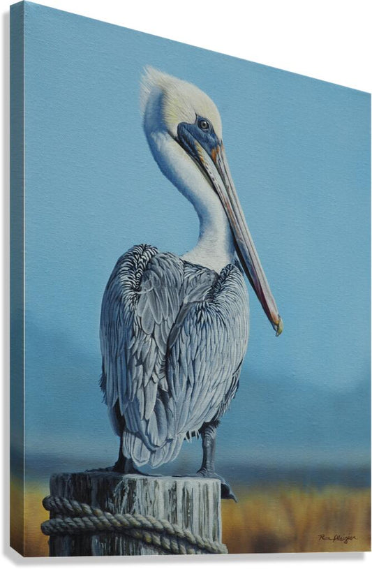 2455509 :: Giclée Stretched Canvas Print