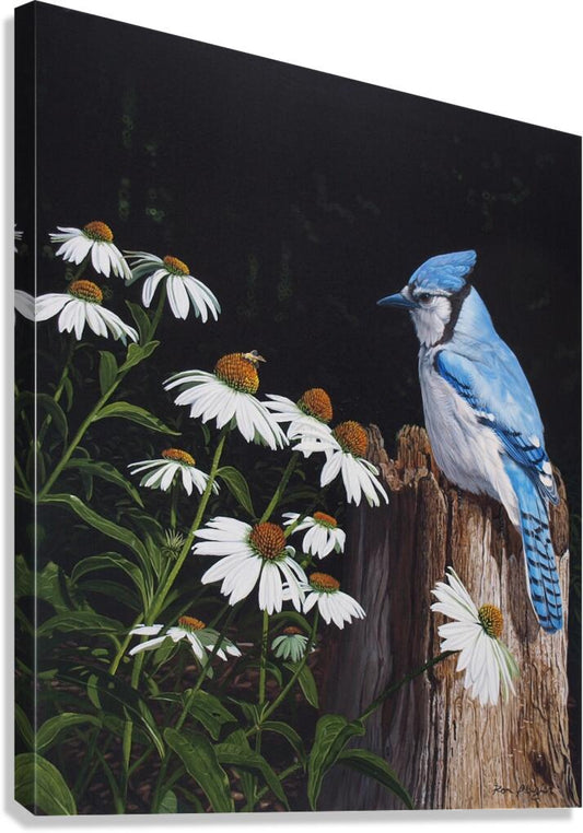 2455510 :: Giclée Stretched Canvas Print