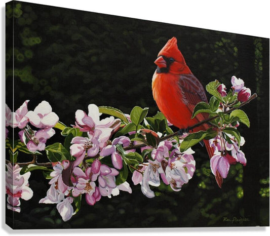 2455511 :: Giclée Stretched Canvas Print