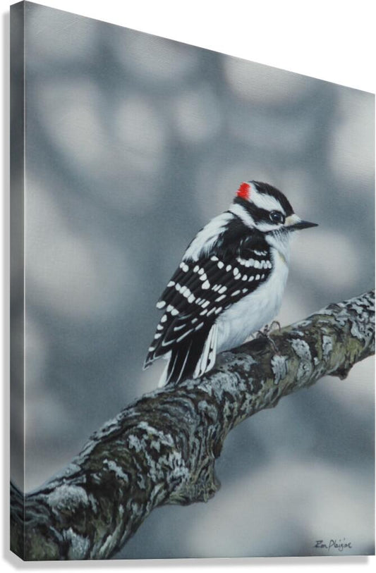 2455512 :: Giclée Stretched Canvas Print