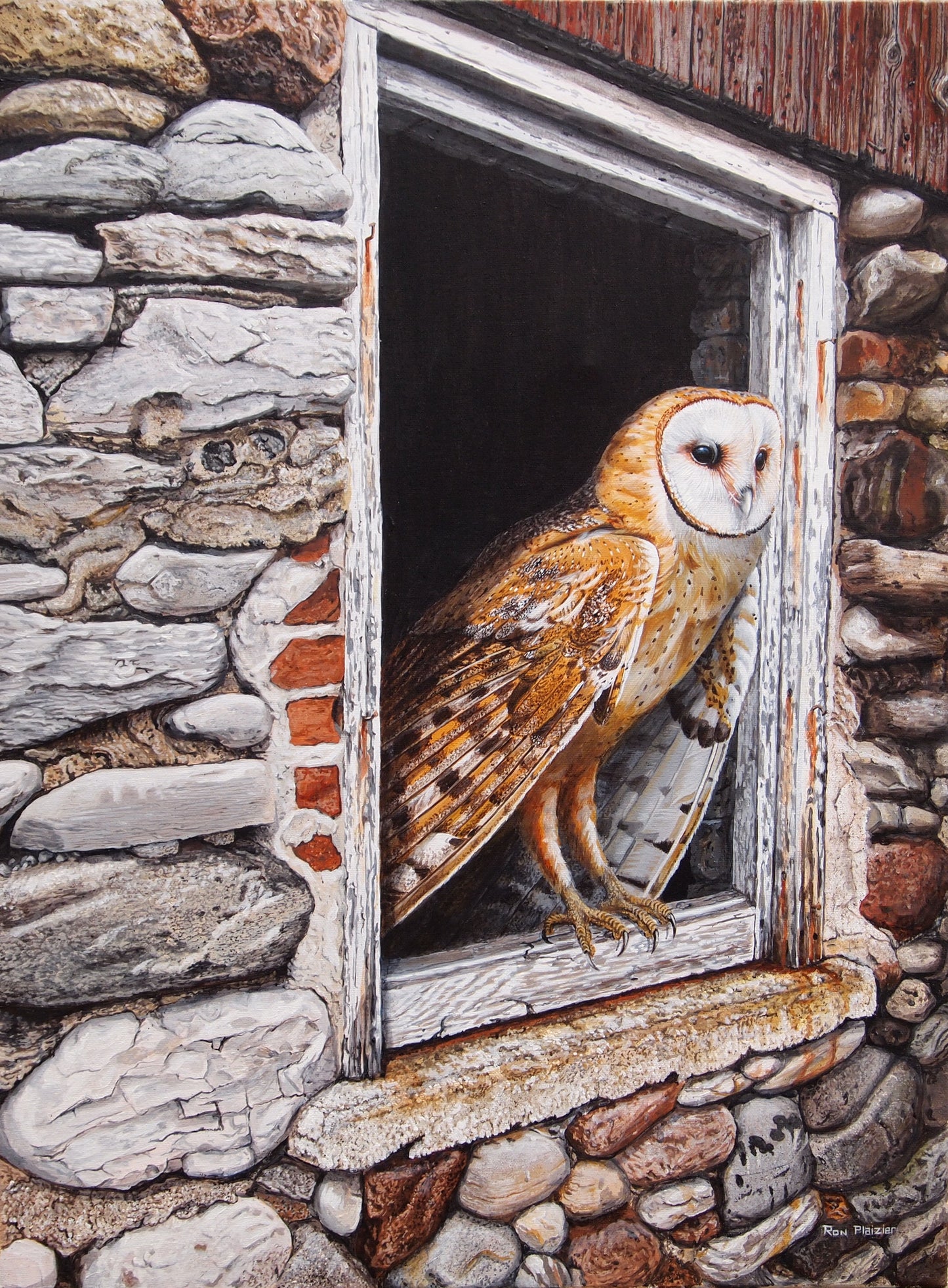 Barn Owl - 24"x18" framed original image 0