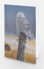 Silent Observer - Card image 0