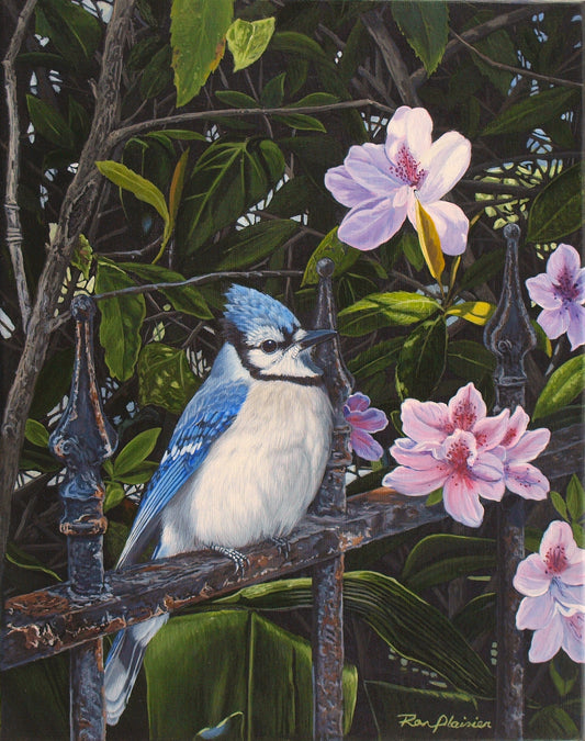Garden Sanctuary - 14"x11" - SOLD - image 0