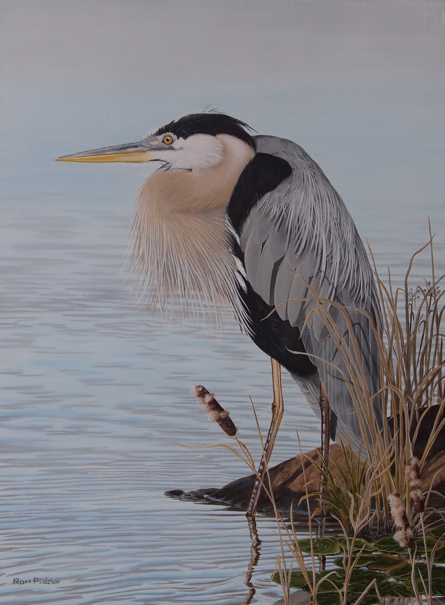 Steady Gaze - Blue Heron 24"x18" -Sold - image 0