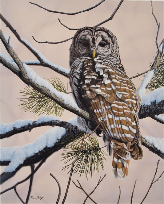 Winter Watch - 20"x16" -SOLD- image 0