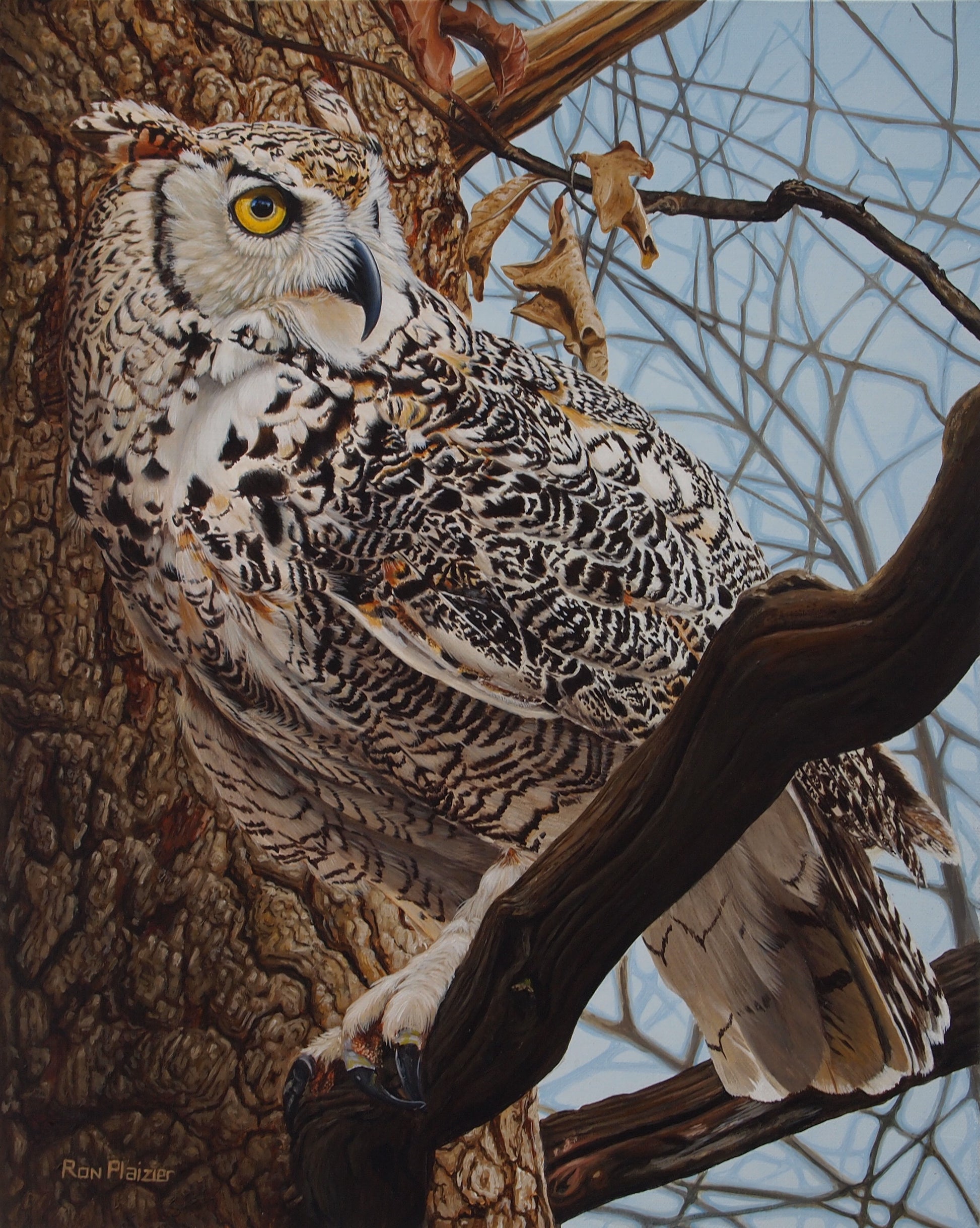 Attentive Observer - Horned Owl -SOLD- image 0