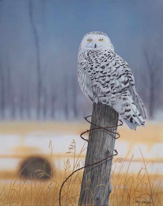 Silent Observer - 20"x 16" Original Framed image 0