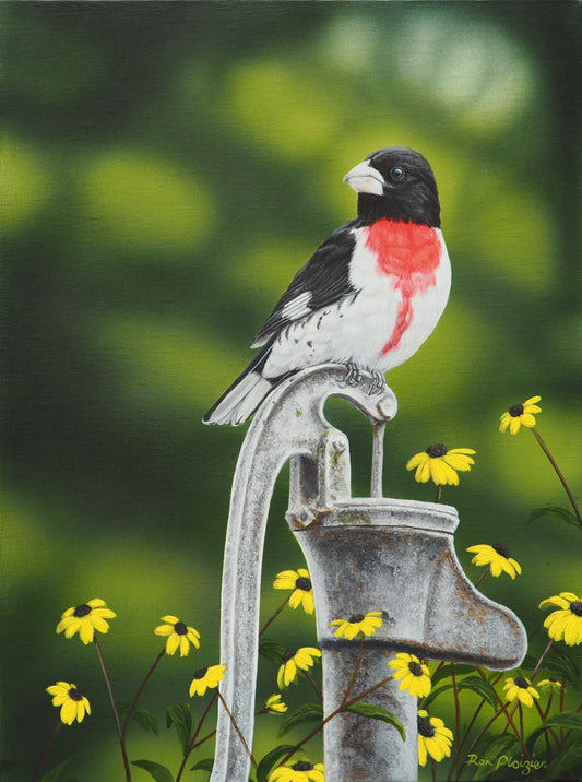 Red-breasted Grosbeak - 16"x12" Original Framed image 0