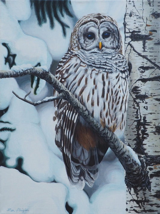 Winter's Interlude - 16"x12" - Sold - image 0