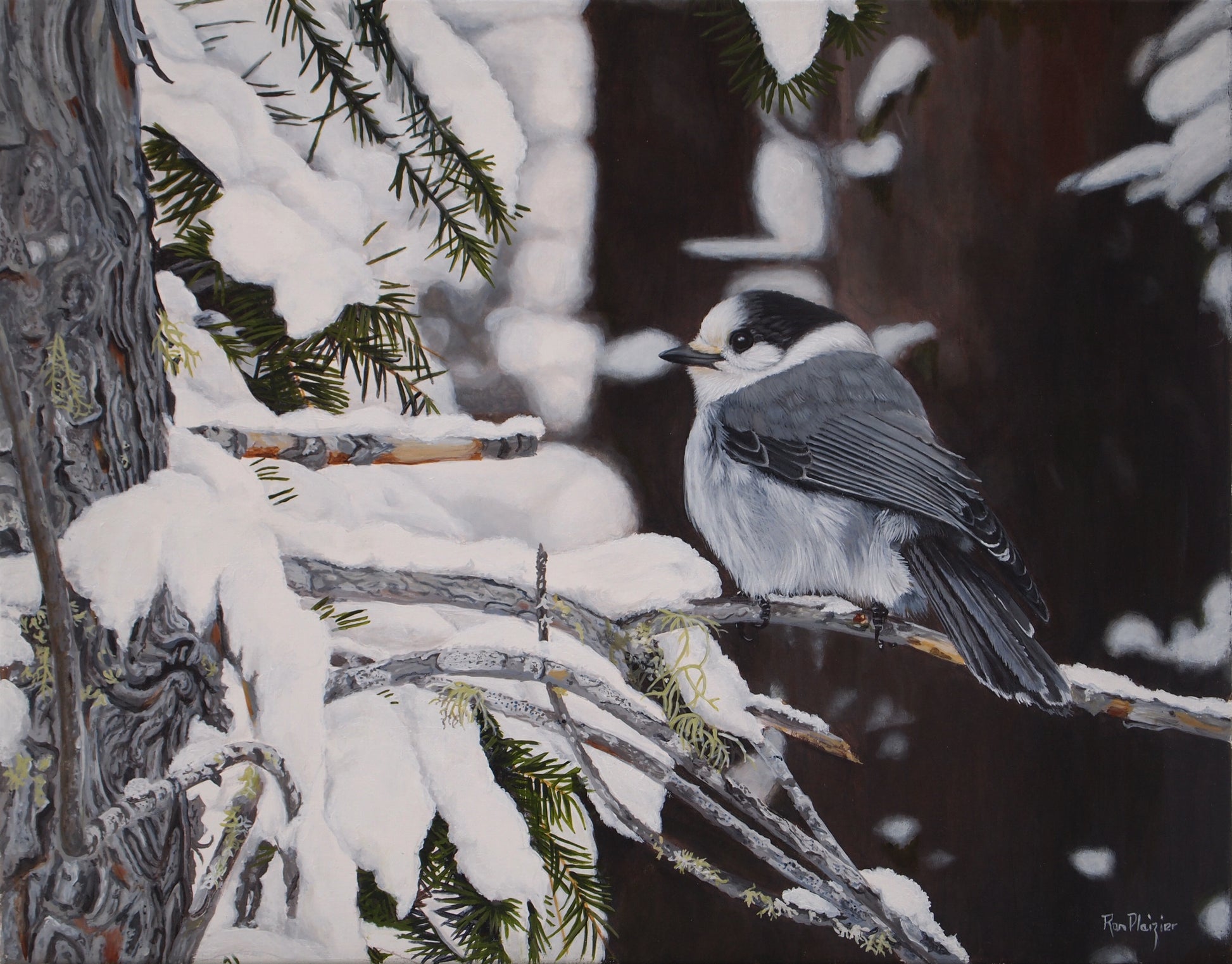 Wìsakedjàk - Canada Jay - Sold - image 0