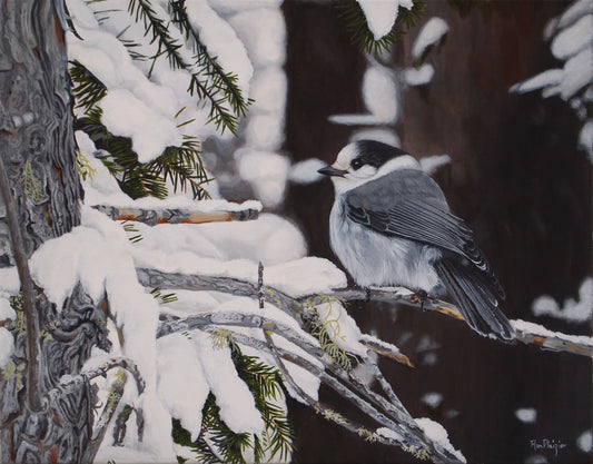 Wìsakedjàk - Canada Jay - Sold - image 0