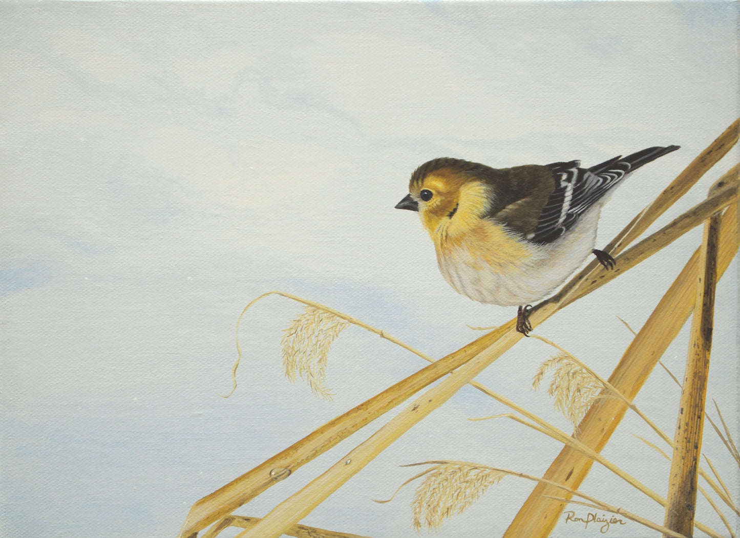 Winter Gold - Gold Finch - 9"x12" -Sold- image 0