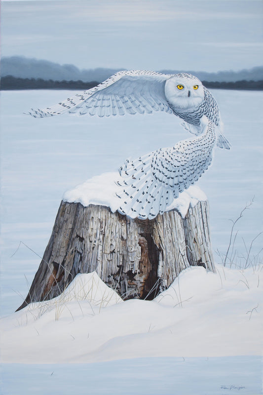 Snow Angel - 36"x24" - SOLD - image 0