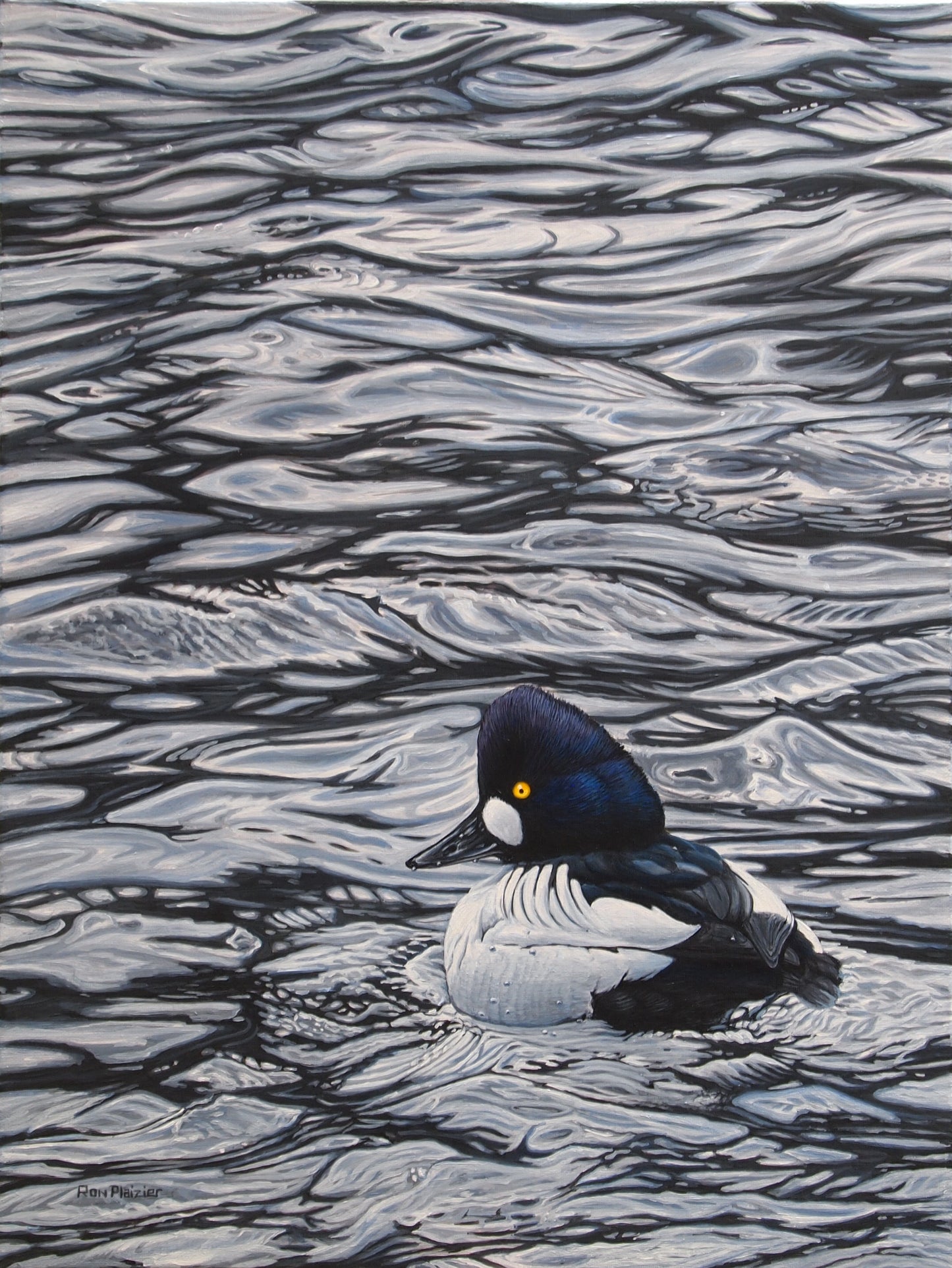 Goldeneye - 18"x24" - SOLD - image 0