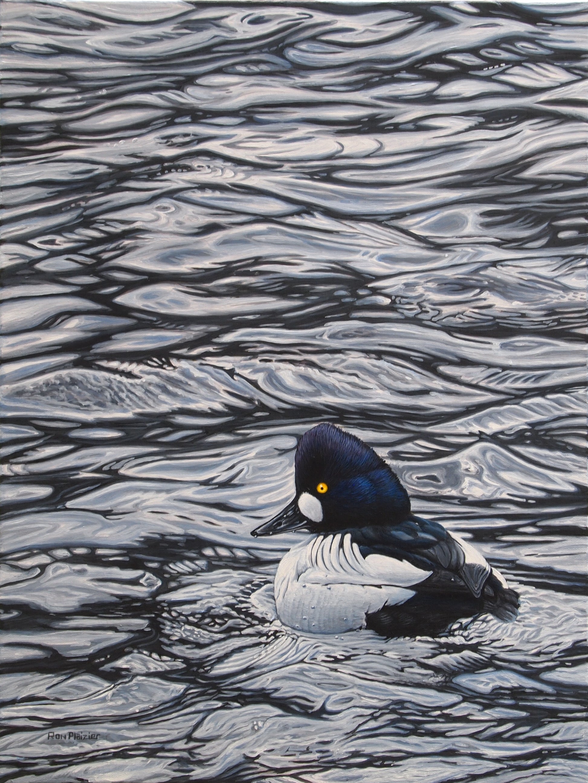 Goldeneye - 18"x24" - SOLD - image 0