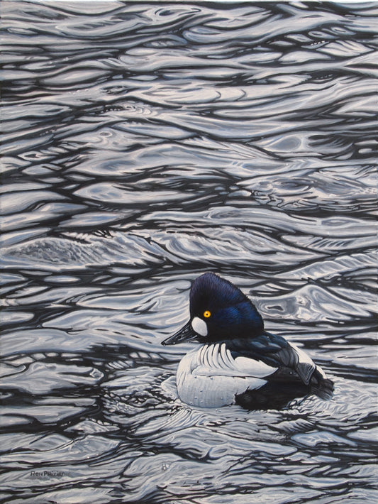 Goldeneye - 18"x24" - SOLD - image 0