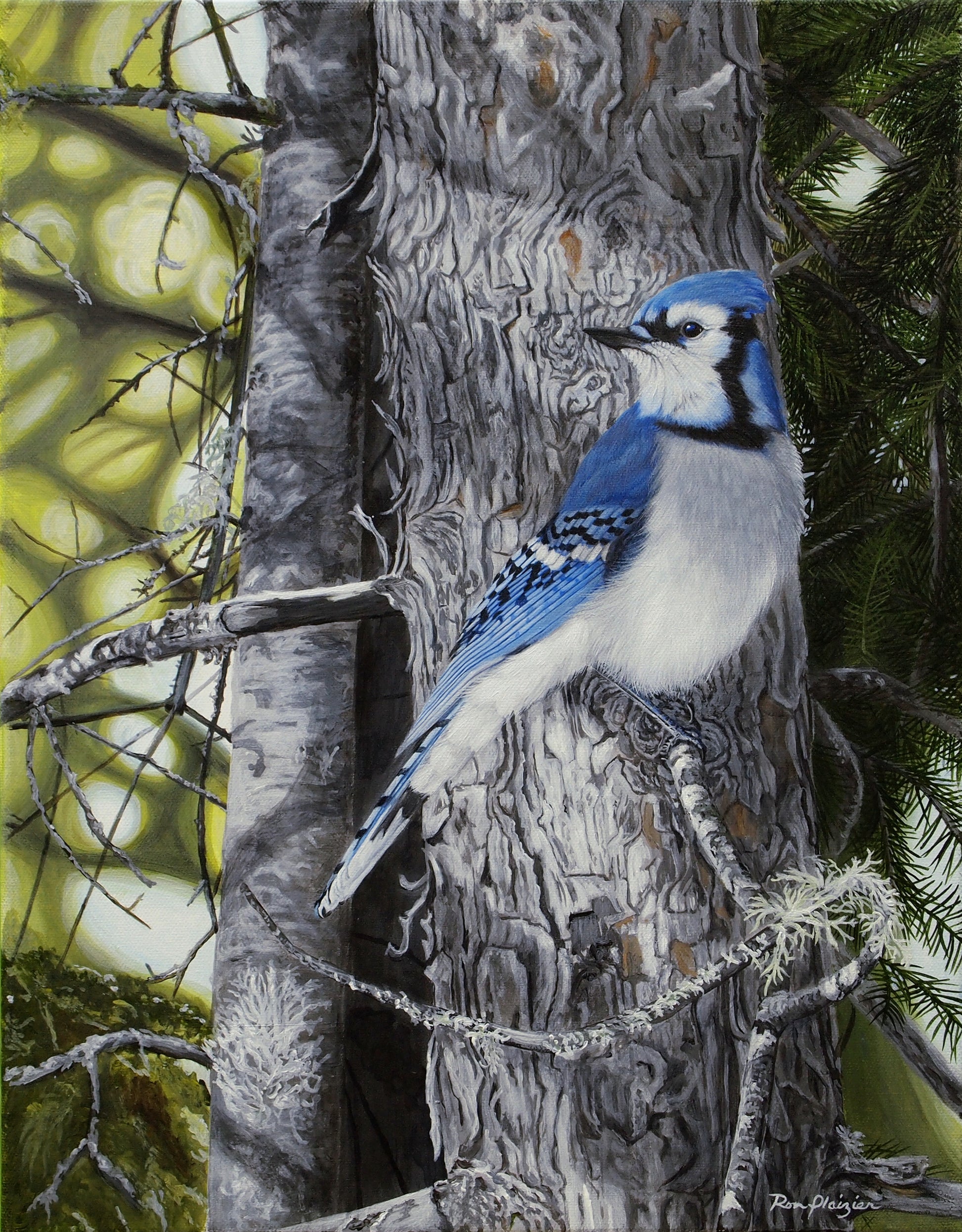 Forest Veil - Bluejay - 18"x14" - SOLD image 0