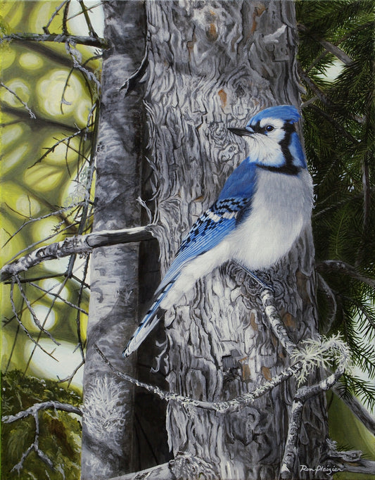 Forest Veil - Bluejay - 18"x14" - SOLD image 0