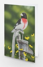 Red-Breasted Grosbeak - Card image 0