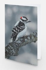Downy Woodpecker -Card image 0