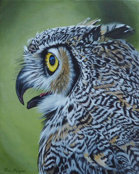 Horned Owl Study - 10"x8" Original Framed image 0